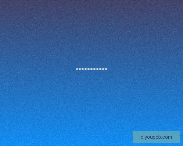 剑锋凌厉心如铁一位女剑士的孤独与荣耀之路